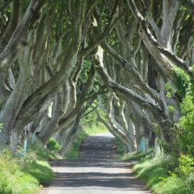 Northern Ireland is the home of Game of Thrones