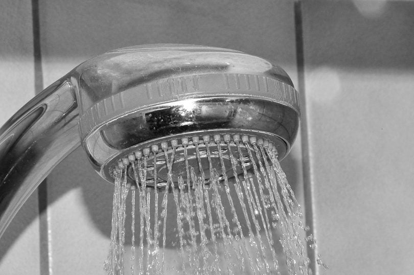 shower head, commons.wikimedia.org