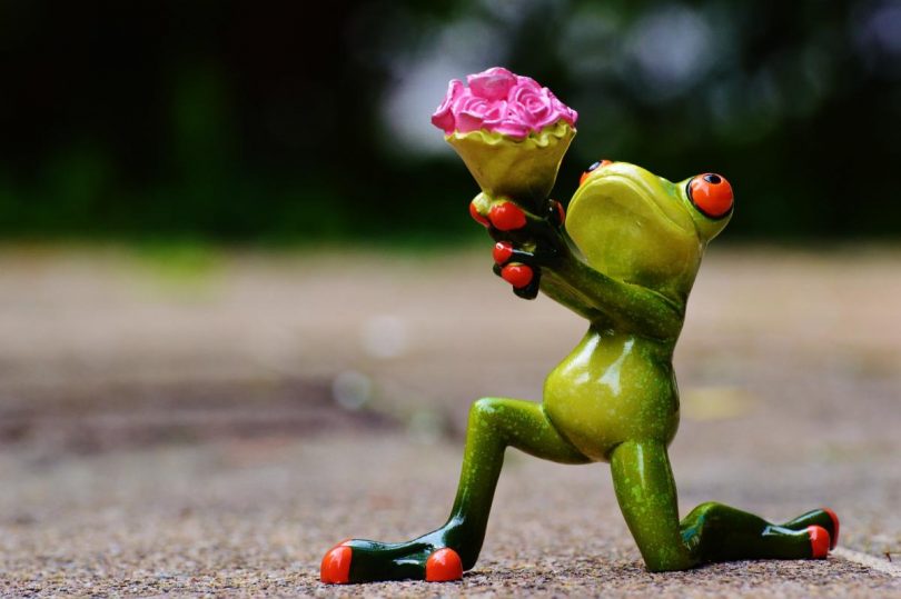 Frog on one knee with flowers