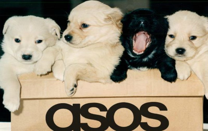 Dogs and asos delivery package