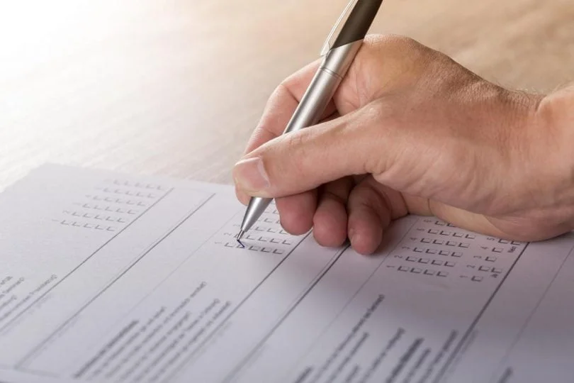 survey, voting, politics, Stephanie Hallson, Kettle Mag