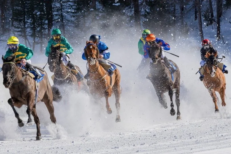Horse race